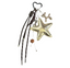 The golden star